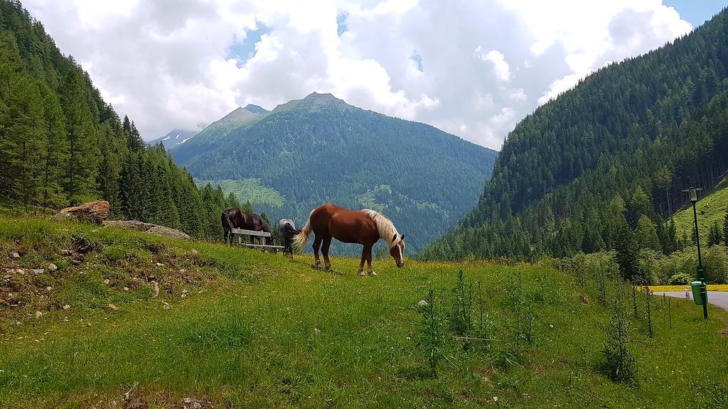 Hotel Gaestehaus Truskaller Mallnitz Zewnętrze zdjęcie